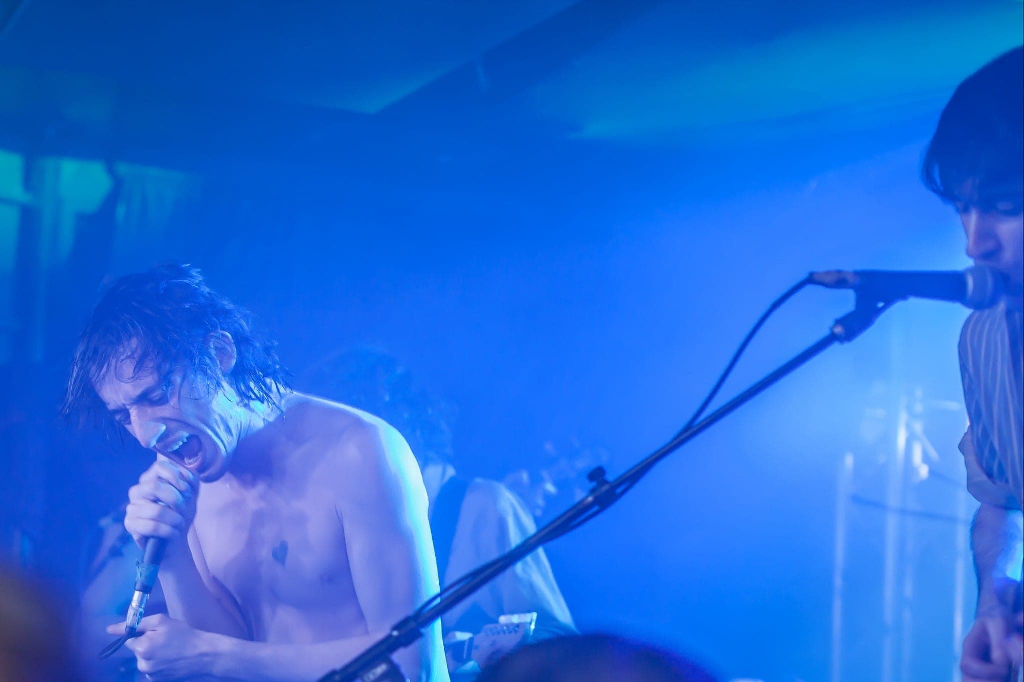 Fat White Family